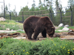 IMG_3752.JPG