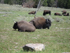 IMG_3815.JPG