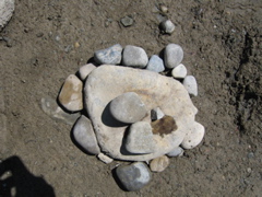 IMG_3884.JPG