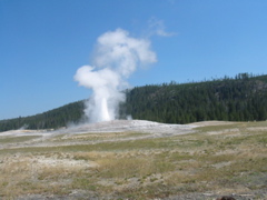 IMG_9596.JPG