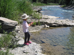 IMG_3877.JPG