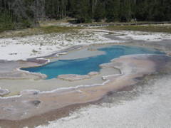 IMG_3766.JPG